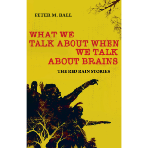 What We Talk About When We Talk About Brains